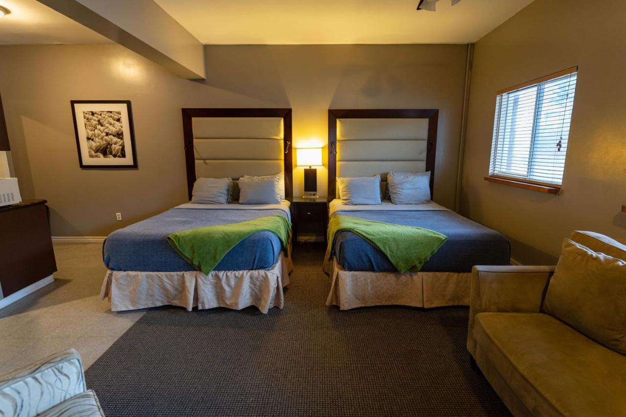 Stoco Lake Lodge Tweed エクステリア 写真